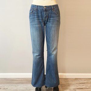 Vintage 2000s Abercrombie and Fitch Button Fly Flare Jeans